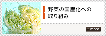 野菜の国産化への取り組み
